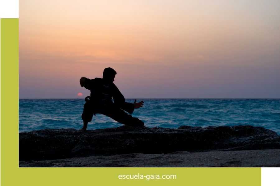 Clases de Wing Tsun
