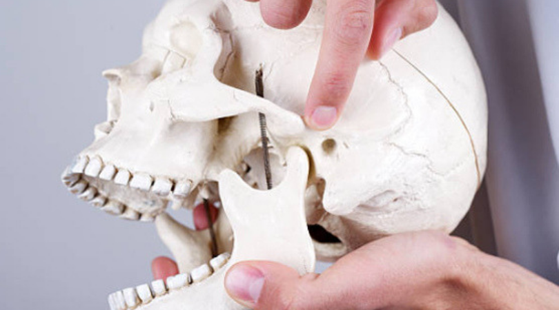 Seminario de osteopatía de cervicales y ATM