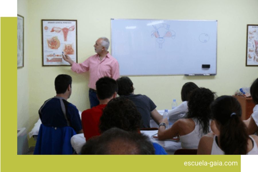Escuela Gaia Osteopatía