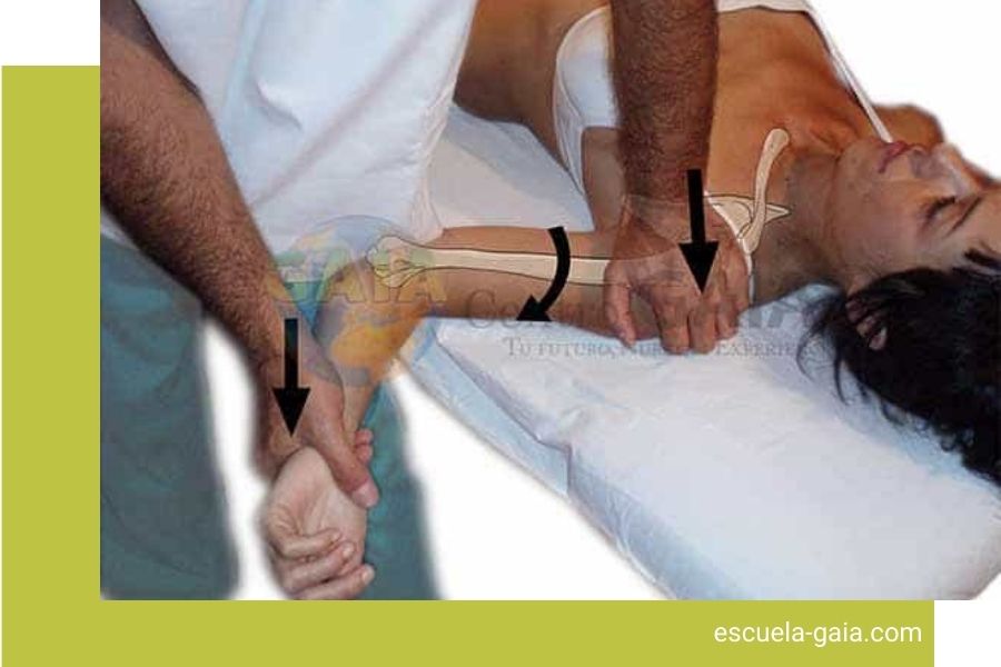 Estudiar Osteopatía Fascioterapia