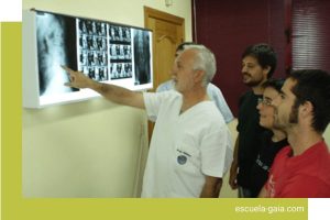 Curso de radiografía